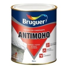 Pintura Plastica Mate 750 Ml Blanco Antimoho Bruguer