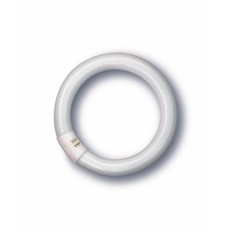 Tubo Iluminacion Fluorescente Trifosforo Circular 32W 6500 K Osram