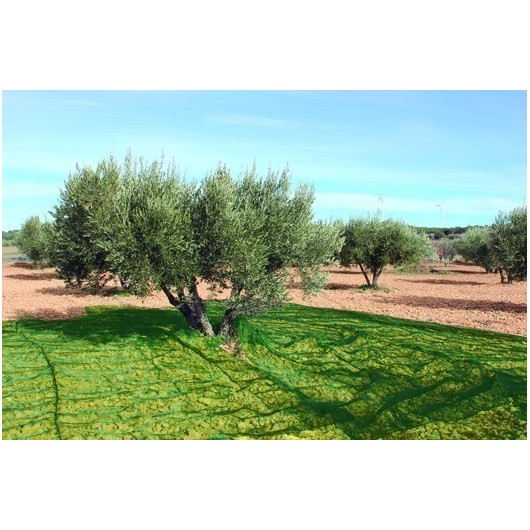 Malla Recolecion 4X8Mt Aceitunas Natuur Verde