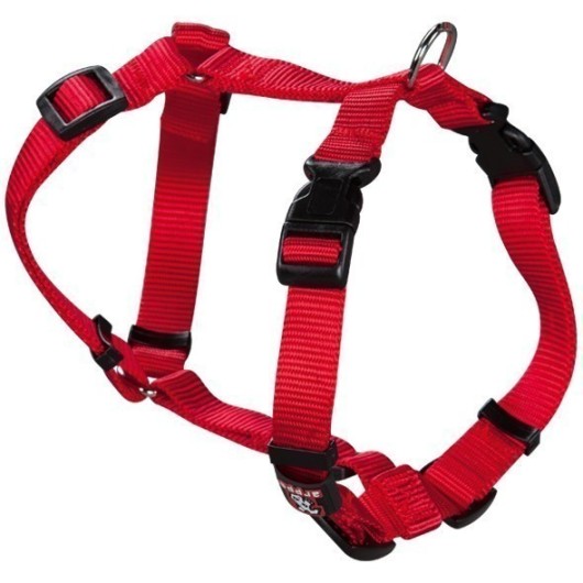 Collar Mascota Ancho 1Cm  Cab 23A35Cm Tronco 25A32,5Cm Arppe