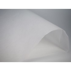 Filtro Campana Extractora 60Cm Papel Bl Sanfor