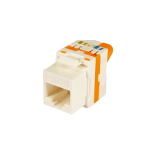 Conect.Rj45 Utp Cat 6A Hem.Palomilla Caja10