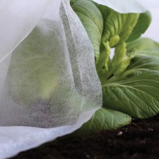 Tela Proteccion Cultivo 30 Gr 2X10 M