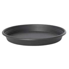 Plato Universal Florus  25 Cm Antracita