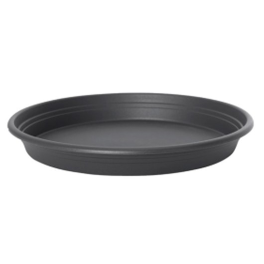 Plato Universal Florus  25 Cm Antracita