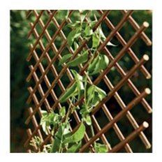 Celosia Extensible Mimbre 1 X 2 M Novagarden