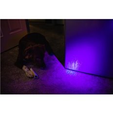 Linterna Led 250Lm Torchy Uv Luz Ultravioleta 2 Modos De Luz Nebo
