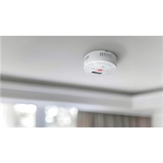 Detector Co Smart Wifi App Garza Smart Garza