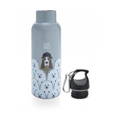 Botella Termo Infantil Friends Surtido 4 Colores 500 Ml